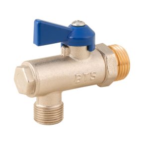 شیر پیسوار BTS