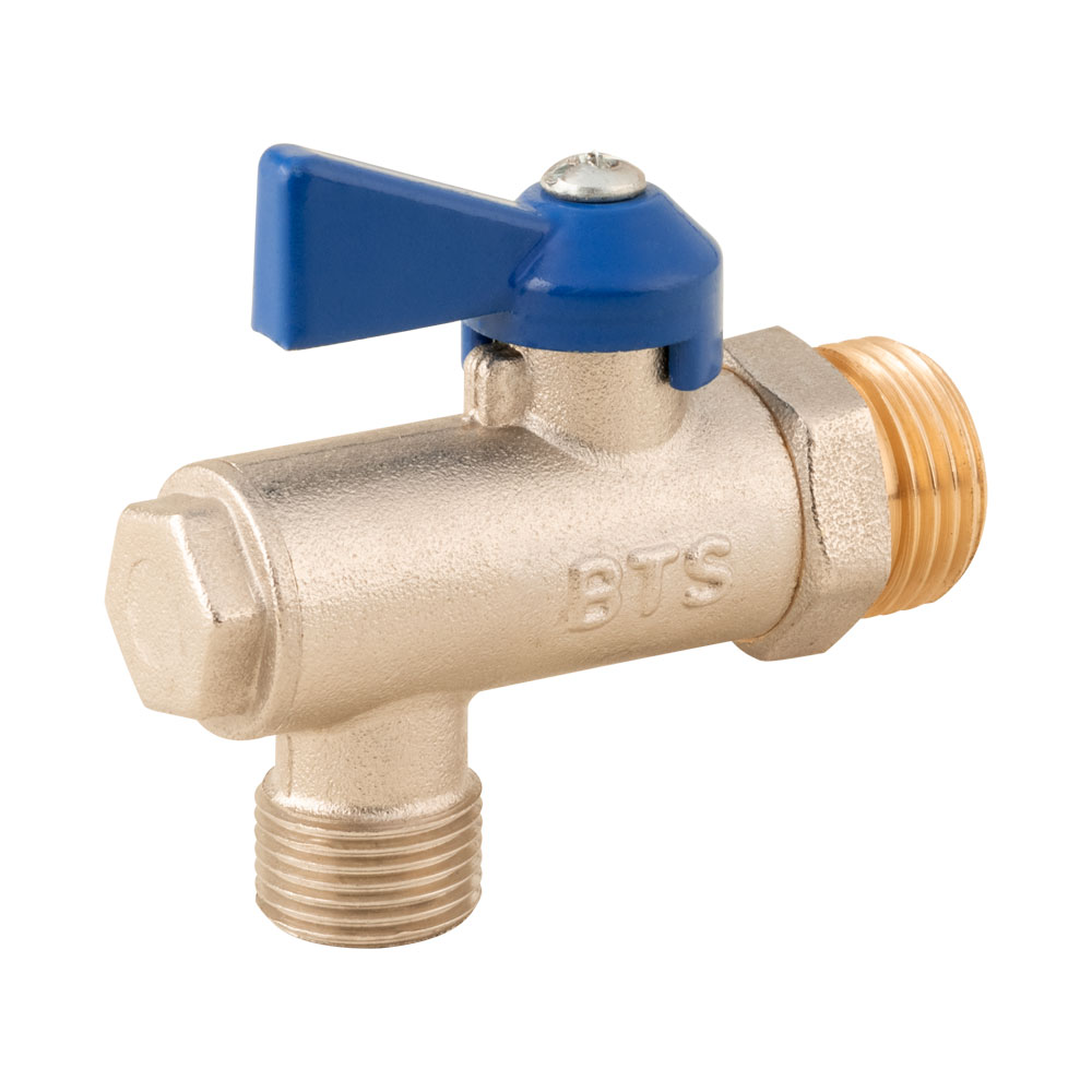 شیر پیسوار BTS